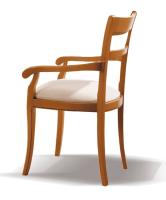 Стул с подлокотником Lux 250 фото Стул с подлокотником Lux 250. Фото №1