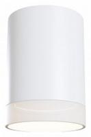 Накладной светильник Maytoni Pauline C008CW-01W. Фото №1