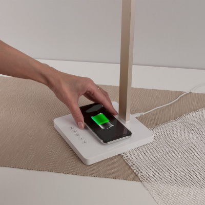 Настольная лампа офисная Elektrostandard TL90510 a039562. Фото