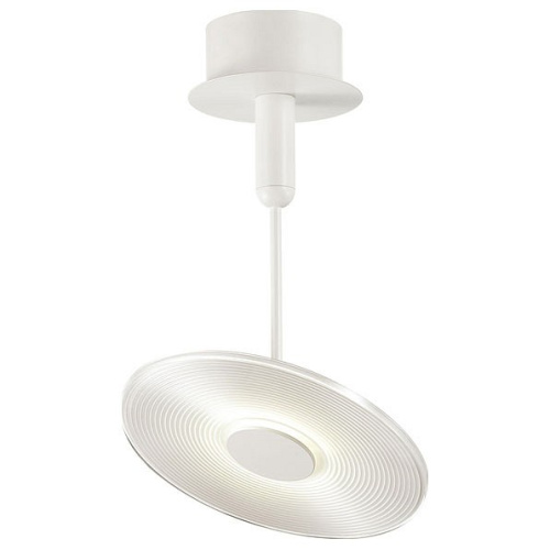 Светильник на штанге Odeon Light Ellen 4107/18CL. Фото №1