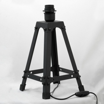 Настольная лампа декоративная Lussole Parker LSP-9886. Фото