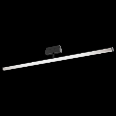 Светильник на штанге Maytoni Track lamps 3 TR026-2-14B3K. Фото