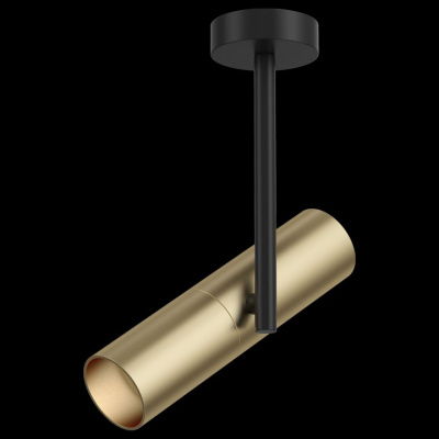 Спот Maytoni Elti C020CL-01GB. Фото